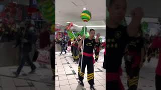 Dragon Dance at Box Hill Melbourne to celebrate Chinese New Year today