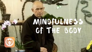Mindfulness of the Body | Thich Nhat Hanh (short teaching video)