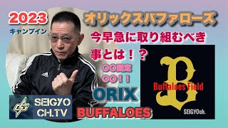 オリックスバファローズが3連覇に向けて現在やらなければならない事とは！2023年春季キャンプに観る！！