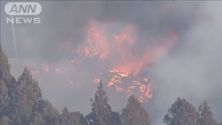 岩手　住宅80軒超が被害　山火事の消火活動続く(2025年2月27日)