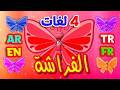 الفراشة باللغات الأربع (العربية - الإنجليزية - التركية - الفرنسية) | قناة بلبل BulBul TV