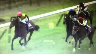 2015　G1 皐月賞　競馬ファン圧巻　ドゥラメンテ末脚爆発！