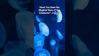 Have You Seen the Magical Glow of Sea Creatures? ✨🌊🐠