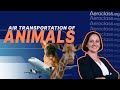 Air Transportation of Animals | Aeroclass Lessons