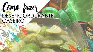 DESENGORDURANTE CASEIRO COM 2 INGREDIENTES | Um produto, um substituto | Luana Burigo