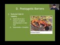 chapter 24 lecture speciation