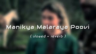Manikya malaraya poovi 🤍 [ Slowed & Reverb ]