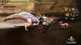 【MH3G】片手剣で戦い抜く村クエ（下位）part1 ドスジャギィ