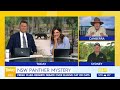 has the elusive sydney panther been spotted again 9 news australia