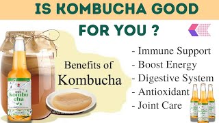 DXN Kombucha Drink Health Benefits By Kavita Shukla | Good For Gut Health