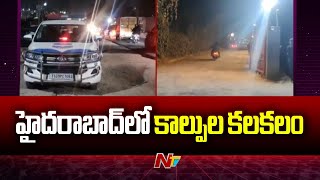 Hyderabad : హైదరాబాద్‌లో గచ్చిబౌలిలో కాల్పుల కలకలం.. | Ntv