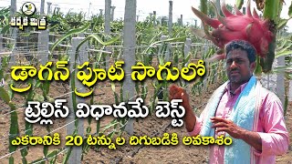 నిలువు పందిరిపై డ్రాగన్ ఫ్రూట్ సాగుతో సత్ఫలితాలు || Trellis for Dragon Fruit  || Karshaka Mitra