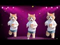 cat videos funny dance 💃😃videos for catsv💃🎶 funnycats dancingcat catlovers @furry cornerz