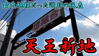 【和歌山市】和歌山最大規模の遊郭「天王新地」の現在を見に行く