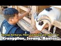 REMAJA YANG MULAI BELAJAR TERNAK DOGAR, PAKET BREEDING KE SERANG BANTEN