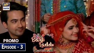 Barfi Laddu Episode 3 - (Promo) - ARY Digital Drama