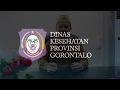 Senam Peregangan Dinas Kesehatan Provinsi Gorontalo