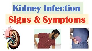 Kidney Infection (Pyelonephritis) Signs & Symptoms | & Why They Occur