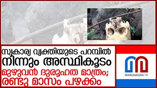 സ്വകാര്യ വ്യക്തിയുടെ പറമ്പില്‍ നിന്നും അസ്ഥികൂടം; l Erumapetty