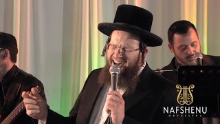 Nafshenu Orchestra Live Wedding Featuring Shlomie Daskal