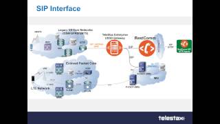 TelScale USSD Gateway module 7