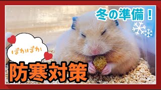 【防寒対策】YouTuberの双子ハムちゃんずが冬の寒さ対策をご紹介！【ハムスター】