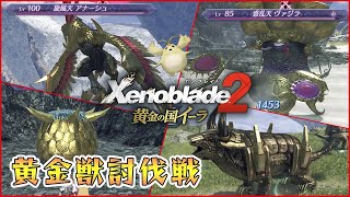 【黄金の国イーラ】目指せヒトノワコンプ！ 黄金獣討伐戦【ゼノブレイド2 実況】