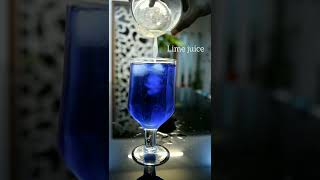 Shankupushpam Drink | butterfly pea Drink | ശംഖുപുഷ്പം ഡ്രിങ്ക് #bluetea #purpletea