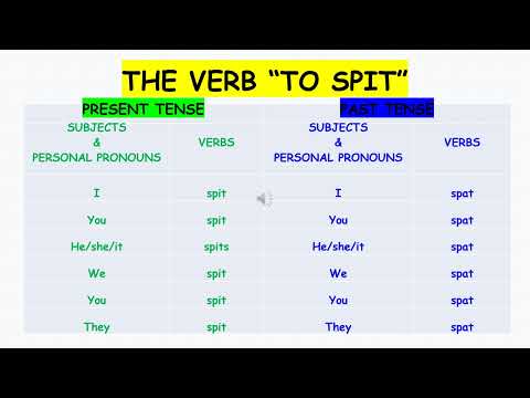 What is the verb of spit?