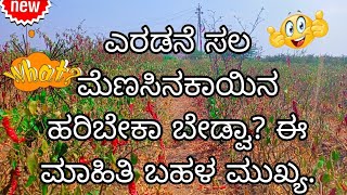 ಮೆಣಸಿನಕಾಯಿ ಹೊಲ ಈ ರೀತಿ ಇದ್ದಾಗ ಎರಡನೆ ಸಲ ಹರಿಬೇಕಾ ಬೇಡ್ವಾ? ಪೂರ್ತಿ ವಿಡಿಯೋ ನಿಮಗಾಗಿ!😪🙋👳