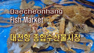 (4K)대천항 수산물시장, 보령시에서 가볼만한 곳(Daecheon Port Fisheries Market)