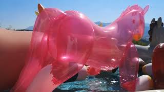 Fill my pool with inflatable horses. Pooltoys.  Je remplis la piscine de chevaux gonflables / bouées