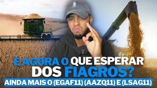 EGAF11, AAZQ11 e DEMAIS FIAGROS, ESTÃO UM TREMENDO ABSURDO, VALE A PENA ENTENDER