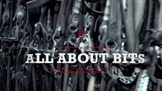 All About Bits: Episode One