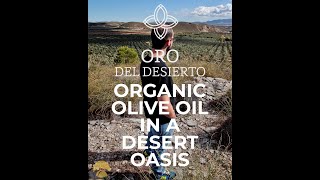 Organic Olive Oil in a Desert Oasis #orodeldesierto #organic #evoo #shorts