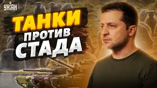 "Пионтковский: через 2 месяца у Зеленского будет танковая армада, а у Путина — стадо"