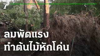 ลมพัดแรงจากพายุโนรู ทำต้นไม้หักโค่น | 30-09-65 | ห้องข่าวหัวเขียว