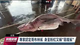 史前深海哥布林鯊遭捕獲 台灣海洋藝術館收購將作教材｜20230614 公視晚間新聞