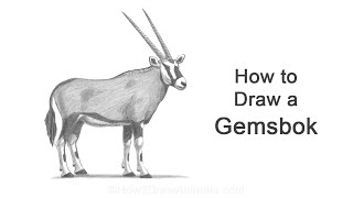 How to Draw a Gemsbok