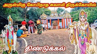 💥Gopinatha Swamy Temple Dindigul | Gopinatha Swamy Temple Reddiarchatram | Krishna Temple | Dindigul