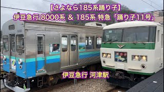 【さよなら185系踊り子】伊豆急行 8000系 普通列車 5654M ＆ 185系 OM04編成 特急「踊り子11号」 伊豆急行 河津駅