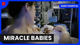 Inside Neonatal Intensive Care - Baby Hospital