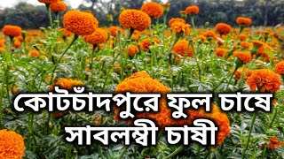 গাঁদা ফুল চাষ করে প্রতি মাসে লাখ টাকা লাভের সম্ভাবনা!গাঁদা ফুল!marigold ! marigold flower ! Ep-40