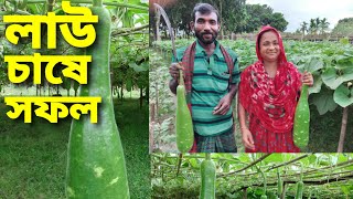 লাউ চাষে সফল ঝিনাইদহের মিজানুর।   Lau / Gourd  cultivation