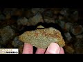 High Grade Gold Ore Samples Found From Bedrock Trenching!