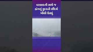 વરસાદની સાથે જ ડાંગનું કુદરતી સૌંદર્ય ખીલી ઉઠ્યું | #dang #gujarat #gujaratrains #monsoon #shorts