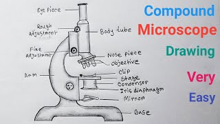 How to Draw Compound Microscope Easy Step / Microscope Drawing With Label