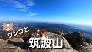 筑波山 女体山頂