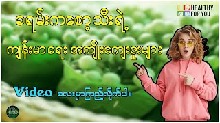 ခရမ်းကစော့သီးရဲ့ ကျန်းမာရေးအကျိုးကျေးဇူး ( Healthy For You Myanmar )