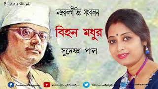 Jago Jago Rudrabhairav Daityadalani Jago I #Nazrulgeeti I Sudeshna Paul | #BihaanMusic